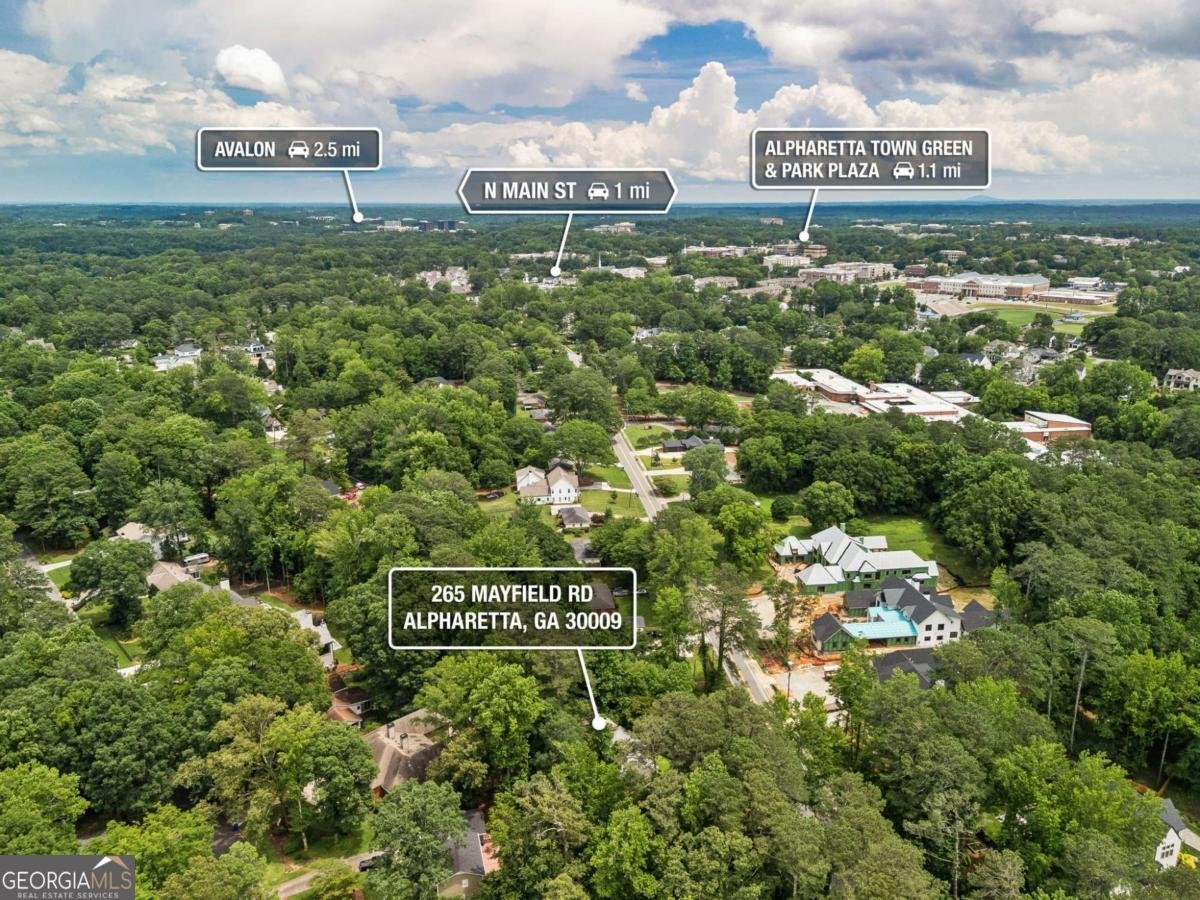 265 Mayfield Road Alpharetta - 5