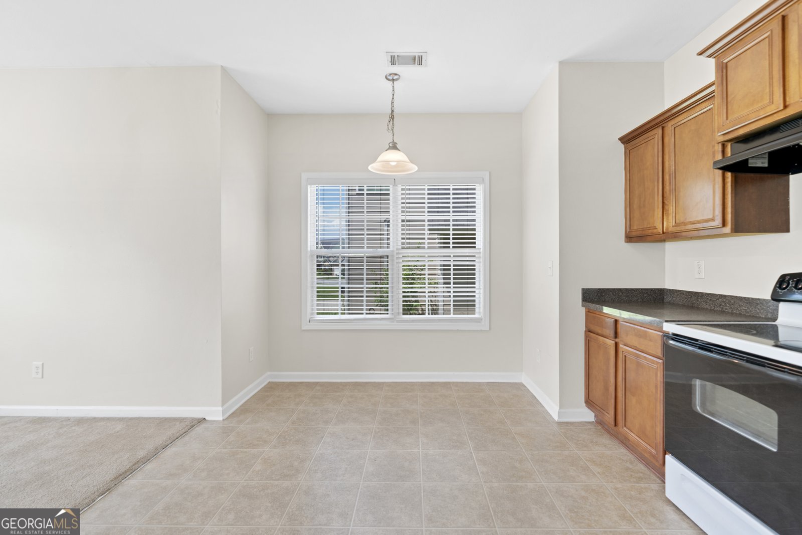 6742 Grand Hickory Drive Braselton - 8