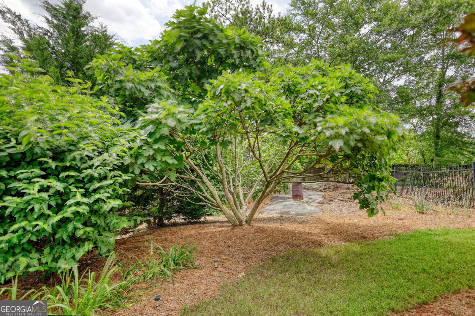3818 Bay Forest Way Loganville - 67