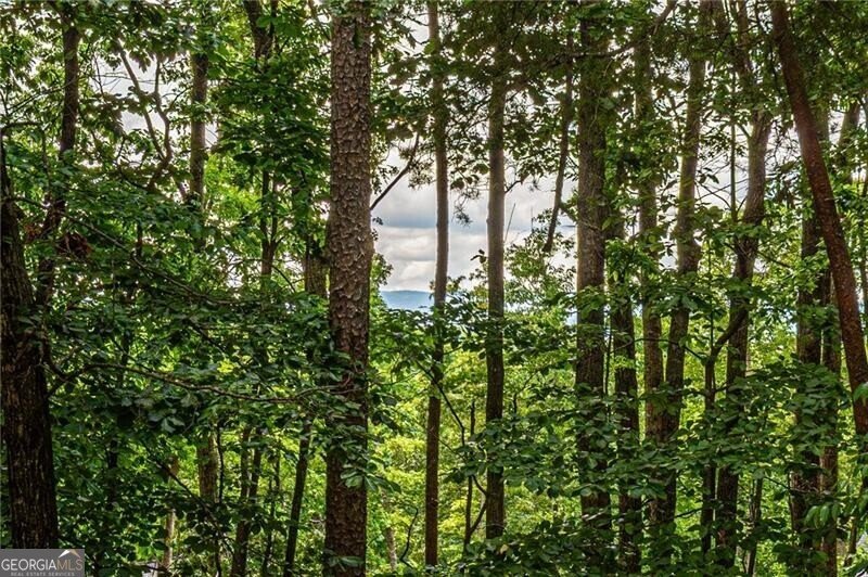 118 High Ridge Lot 41 Lane Dahlonega - 27