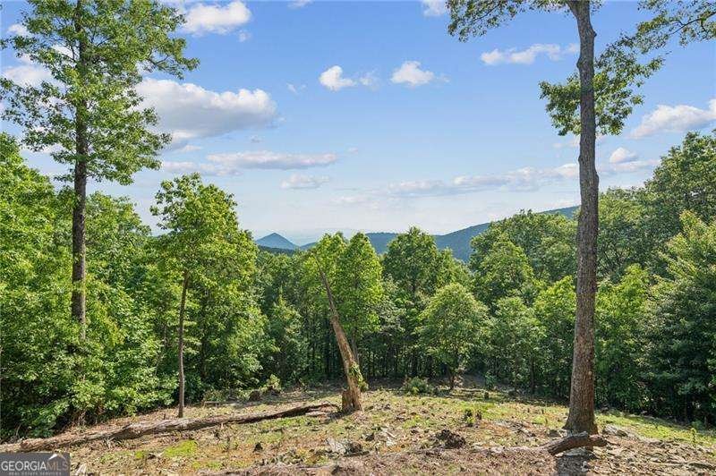 1832 Monument Road Jasper - 64