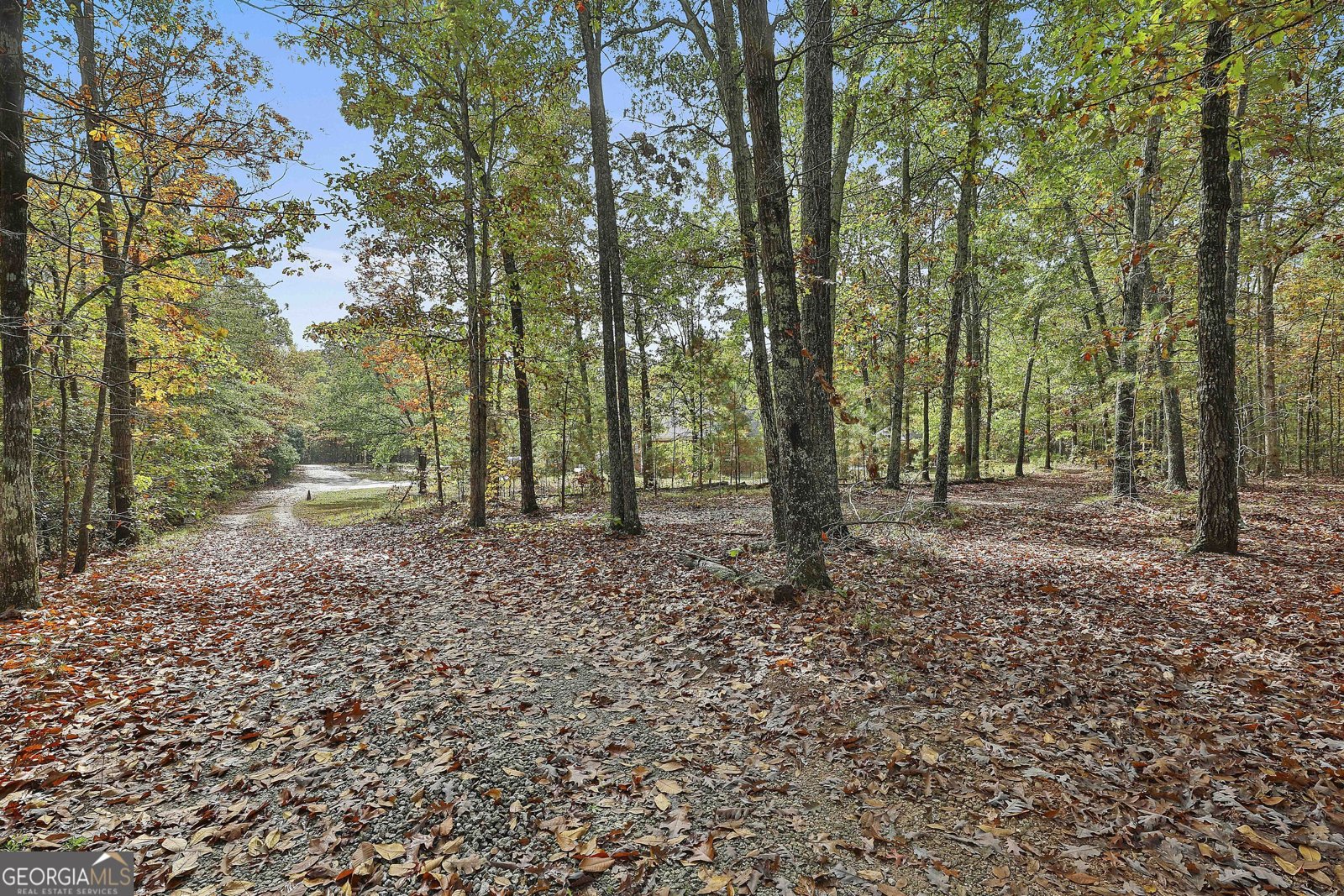 3530 Highway 81 Hampton - 67