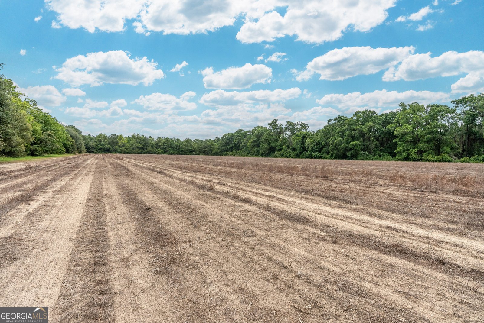 3119 Empire Road Jesup - 20