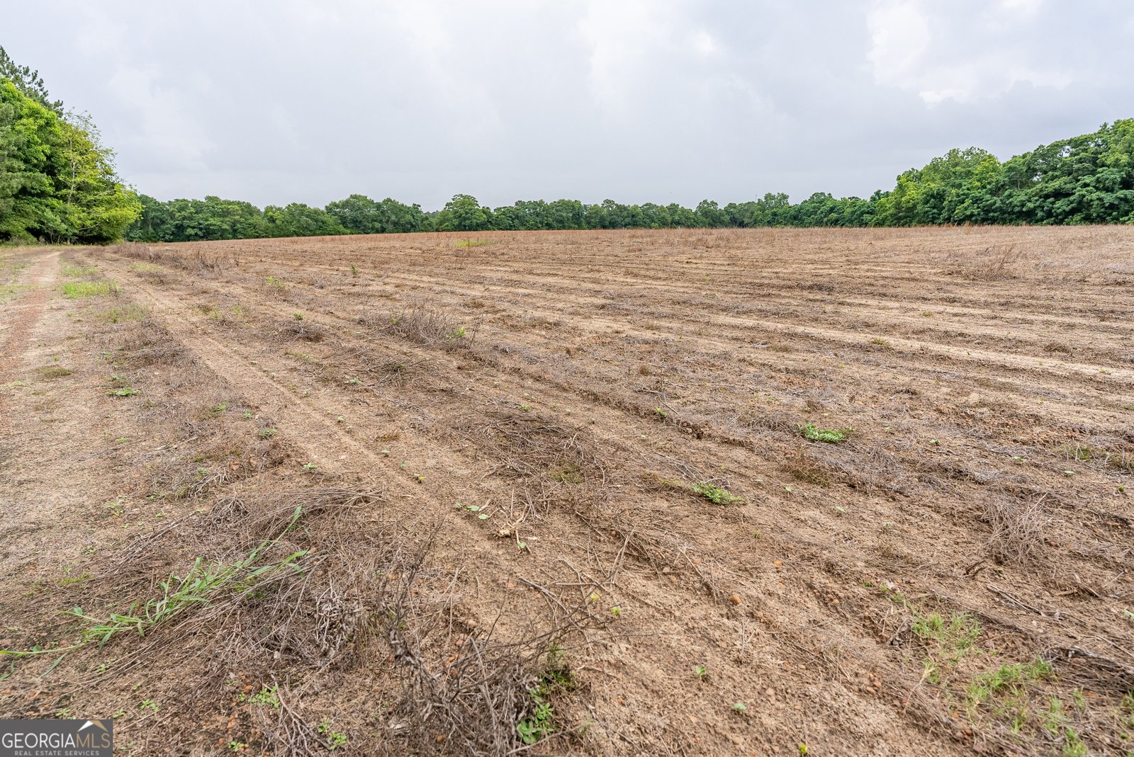 3119 Empire Road Jesup - 23