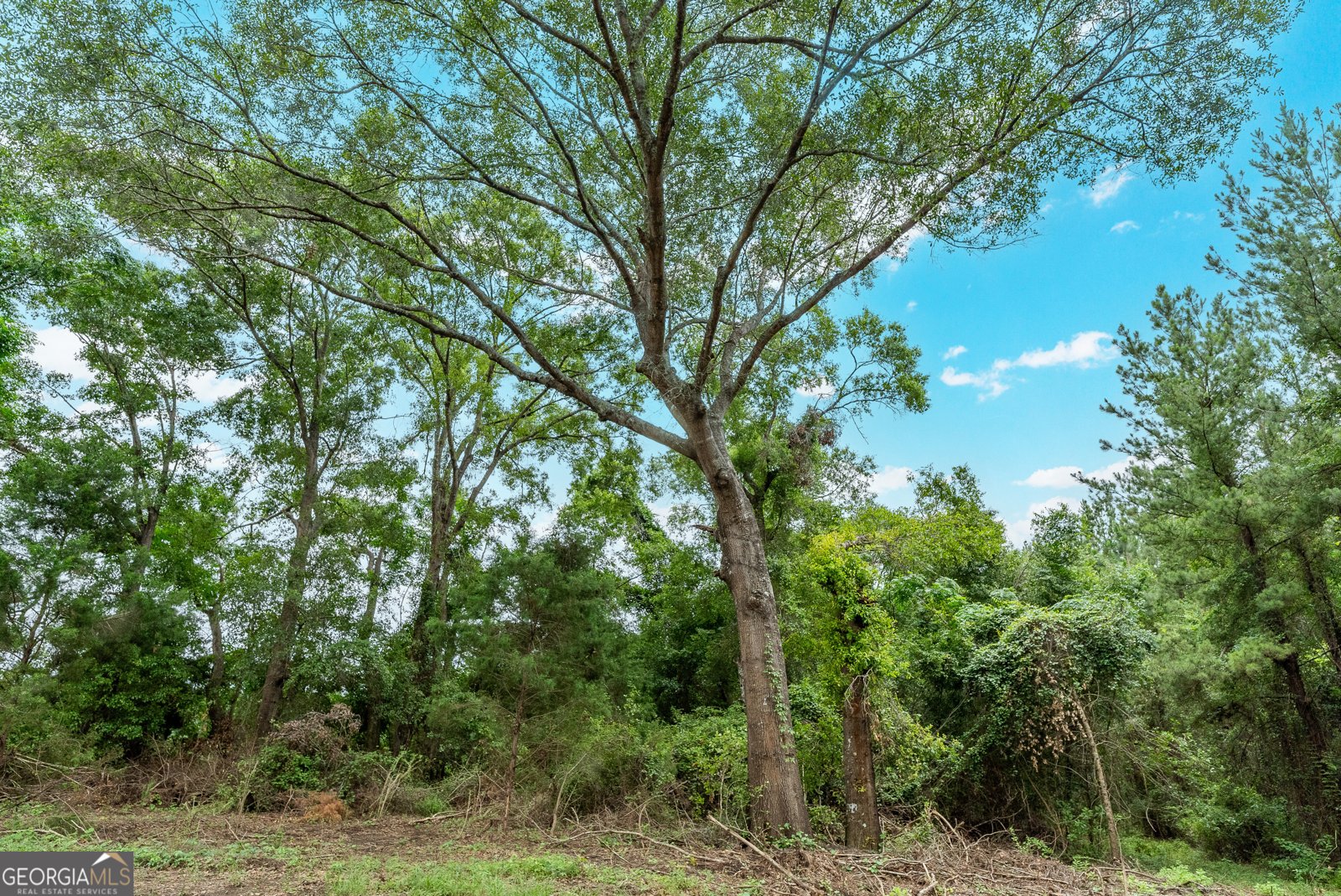 3119 Empire Road Jesup - 24