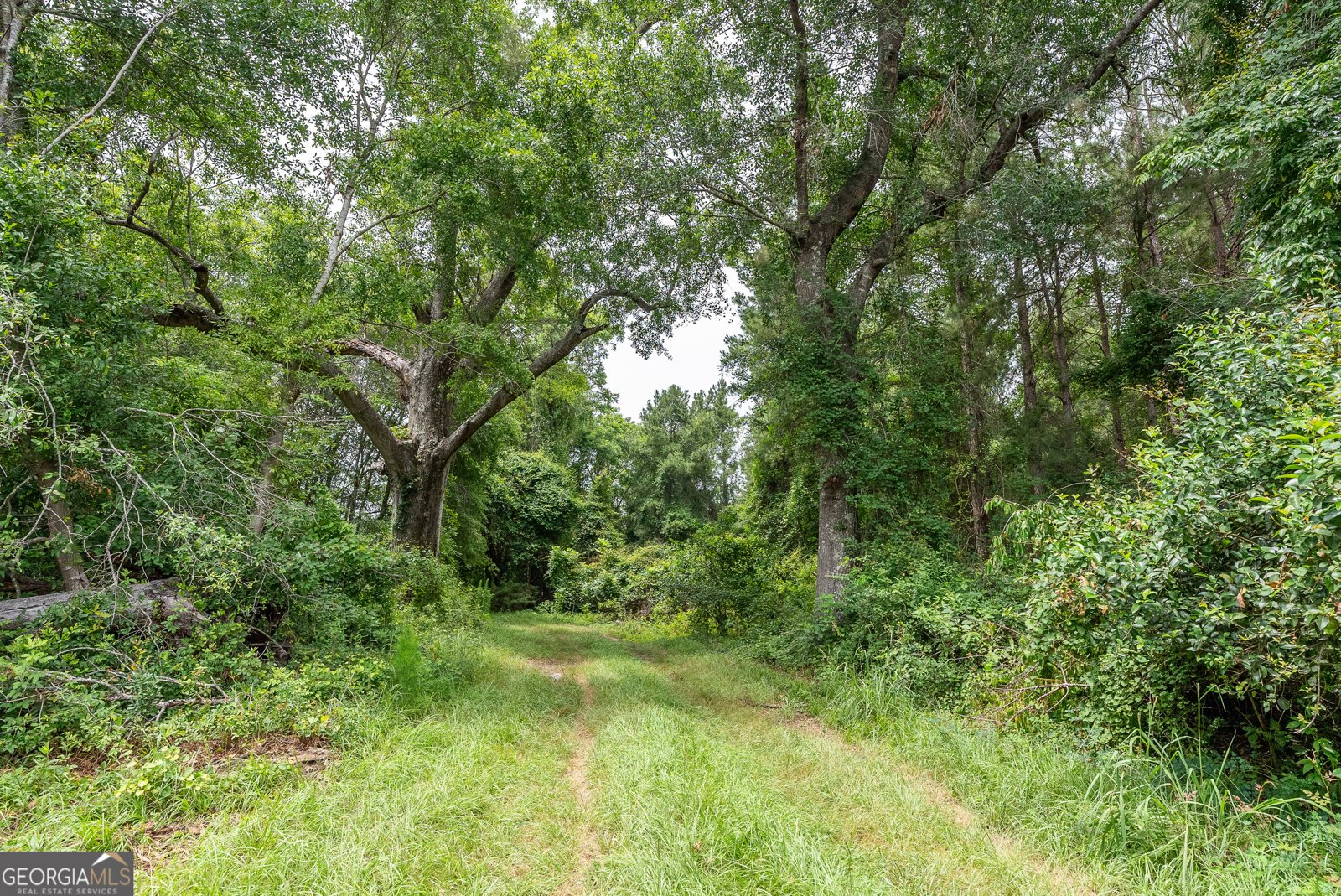 3119 Empire Road Jesup - 26