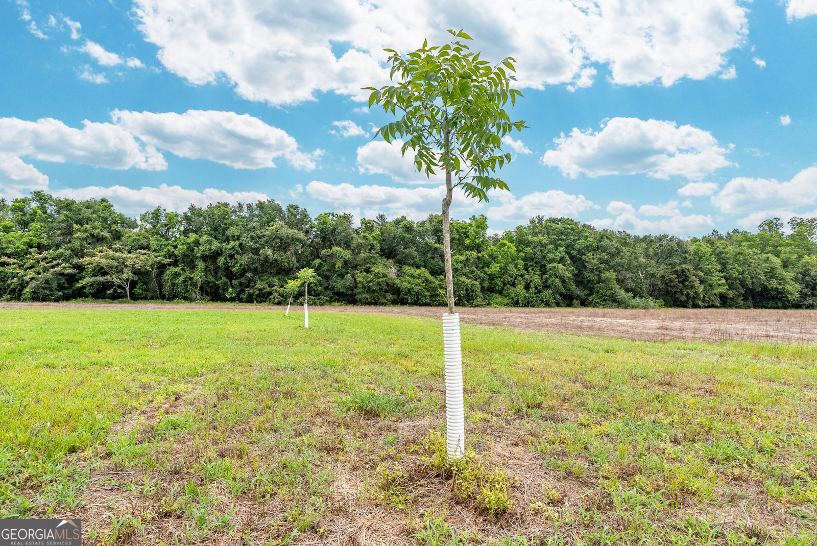 3119 Empire Road Jesup - 27