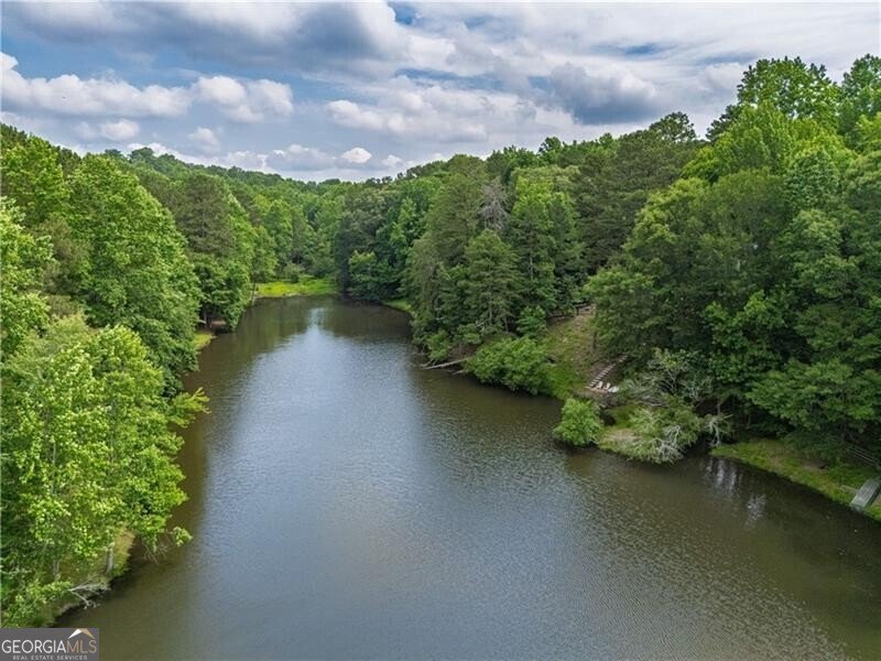 660 Glendalough Court Alpharetta - 47