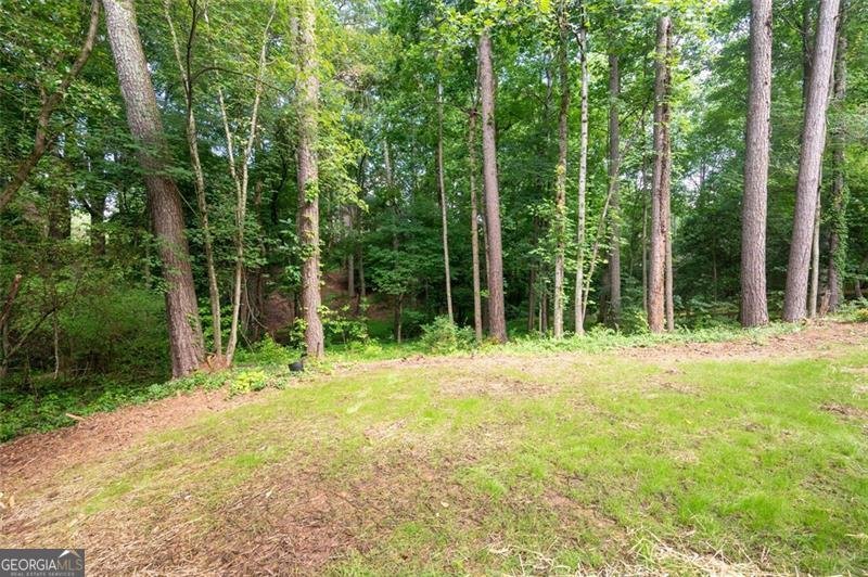 1096 POLO CLUB Drive Marietta - 60