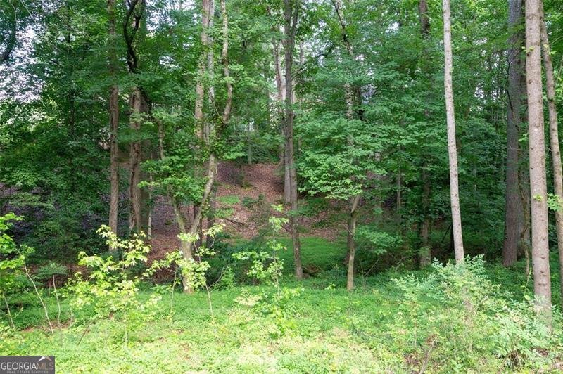 1096 POLO CLUB Drive Marietta - 61