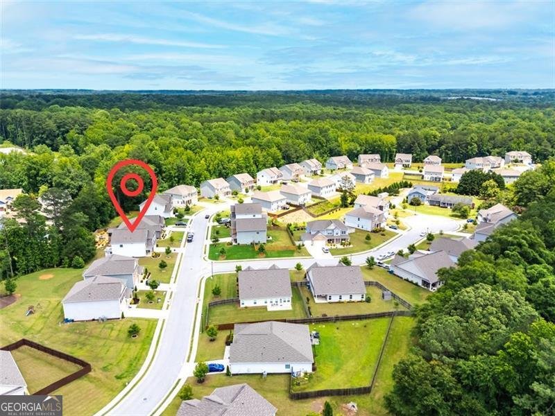 3390 Meadow Grass Drive Dacula - 44
