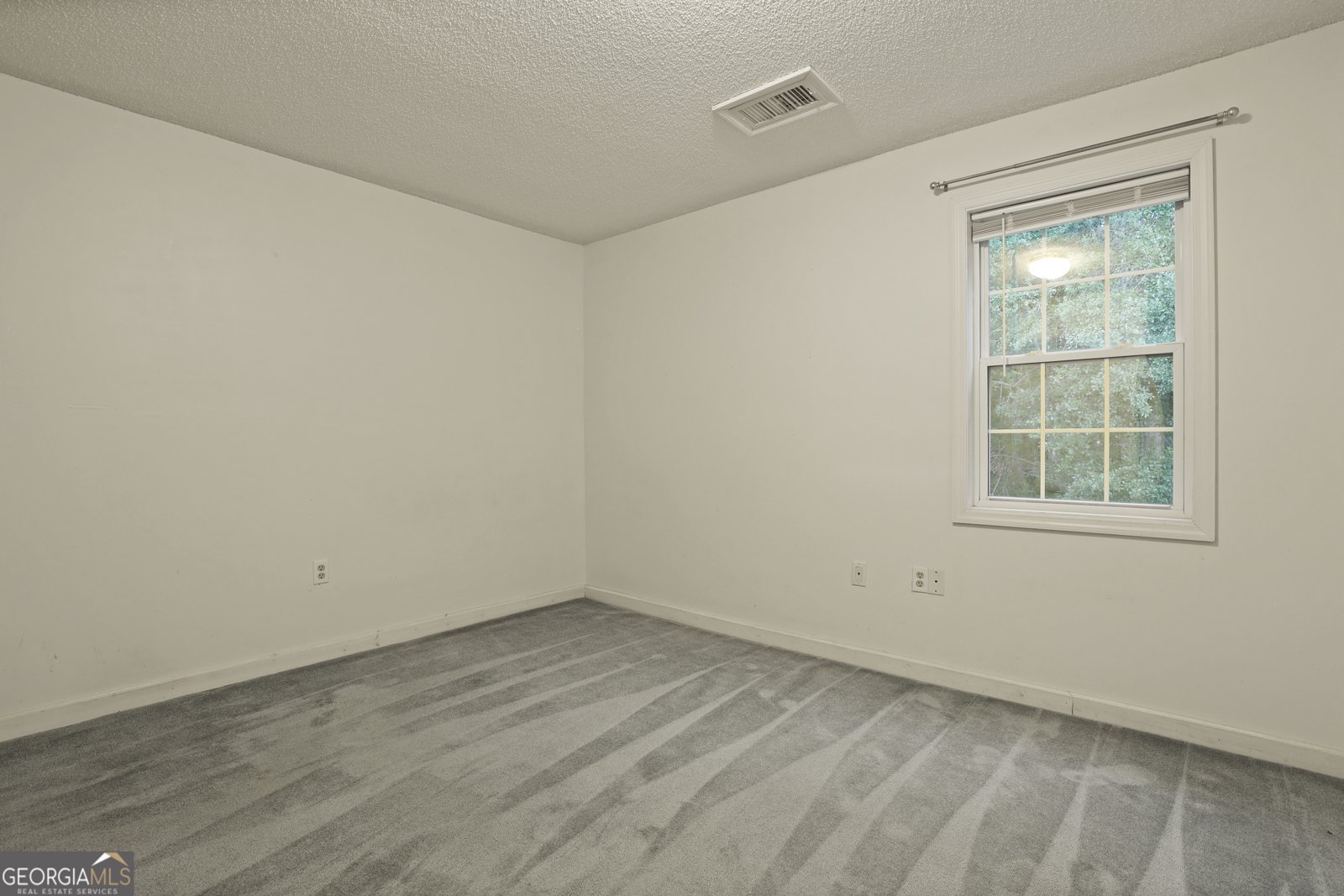 684 Frances Lane Brooklet - 79