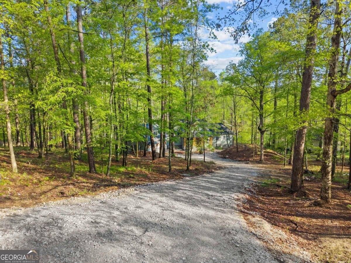1281 Snug Harbor Drive Greensboro - 11