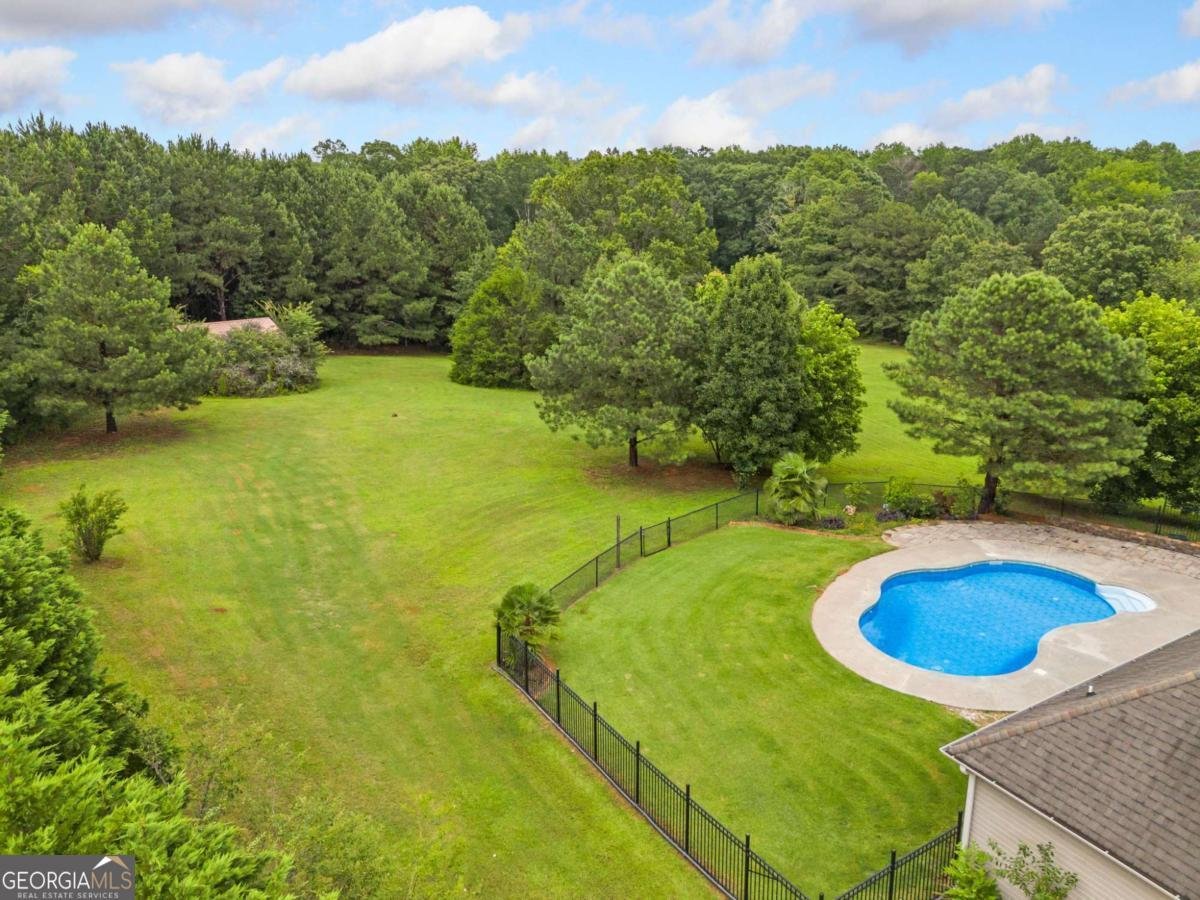 25 Massengale Farms Court Senoia - 1