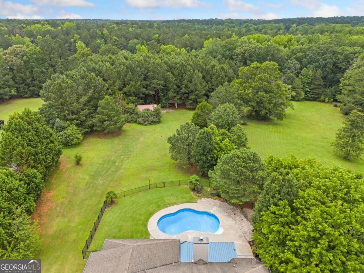 25 Massengale Farms Court Senoia - 2