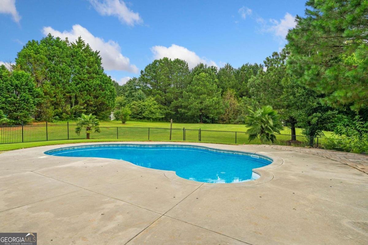 25 Massengale Farms Court Senoia - 5