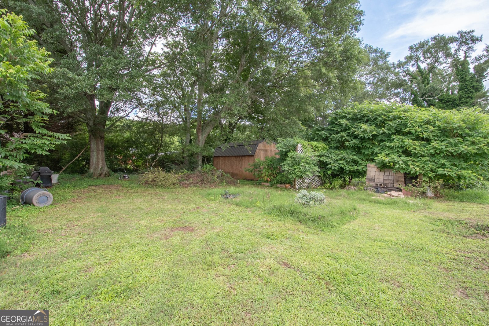 178 Old Highway 27 Roopville - 28