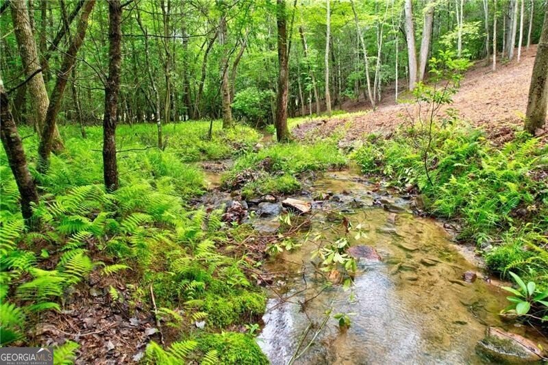 60 Bridle Path Morganton - 43