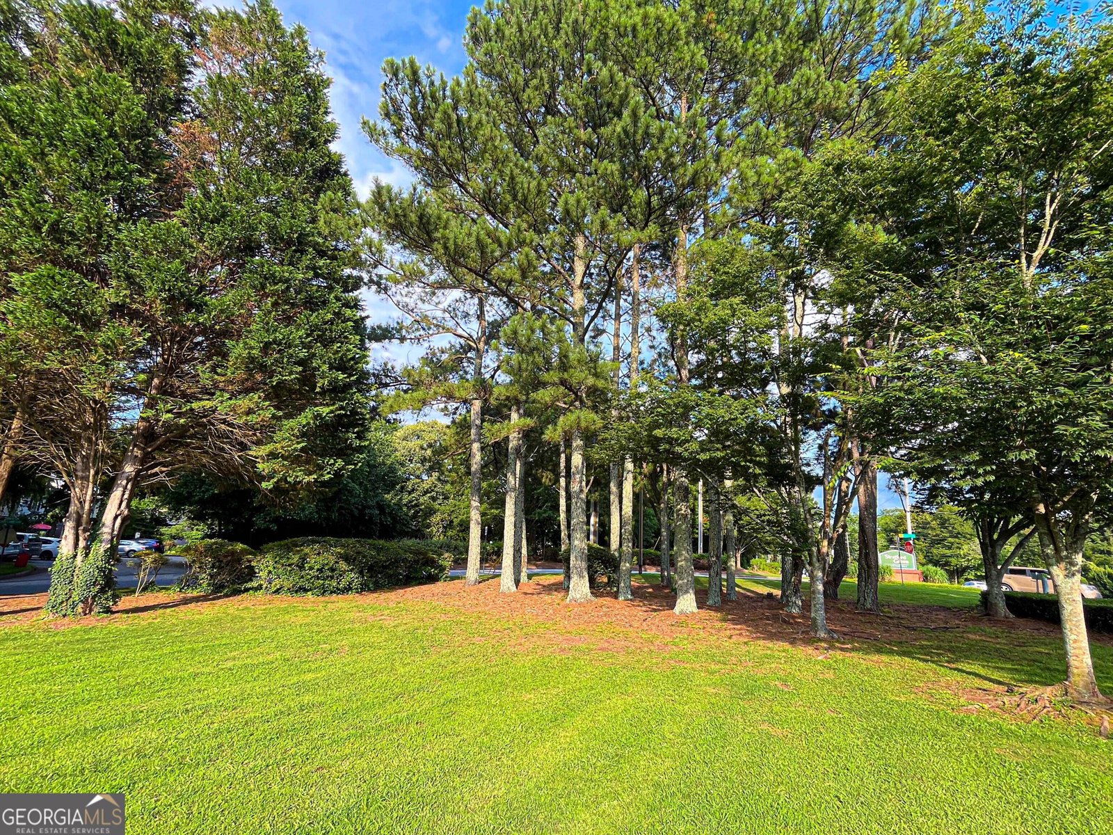 3150 Stratford Green Place Avondale Estates - 94