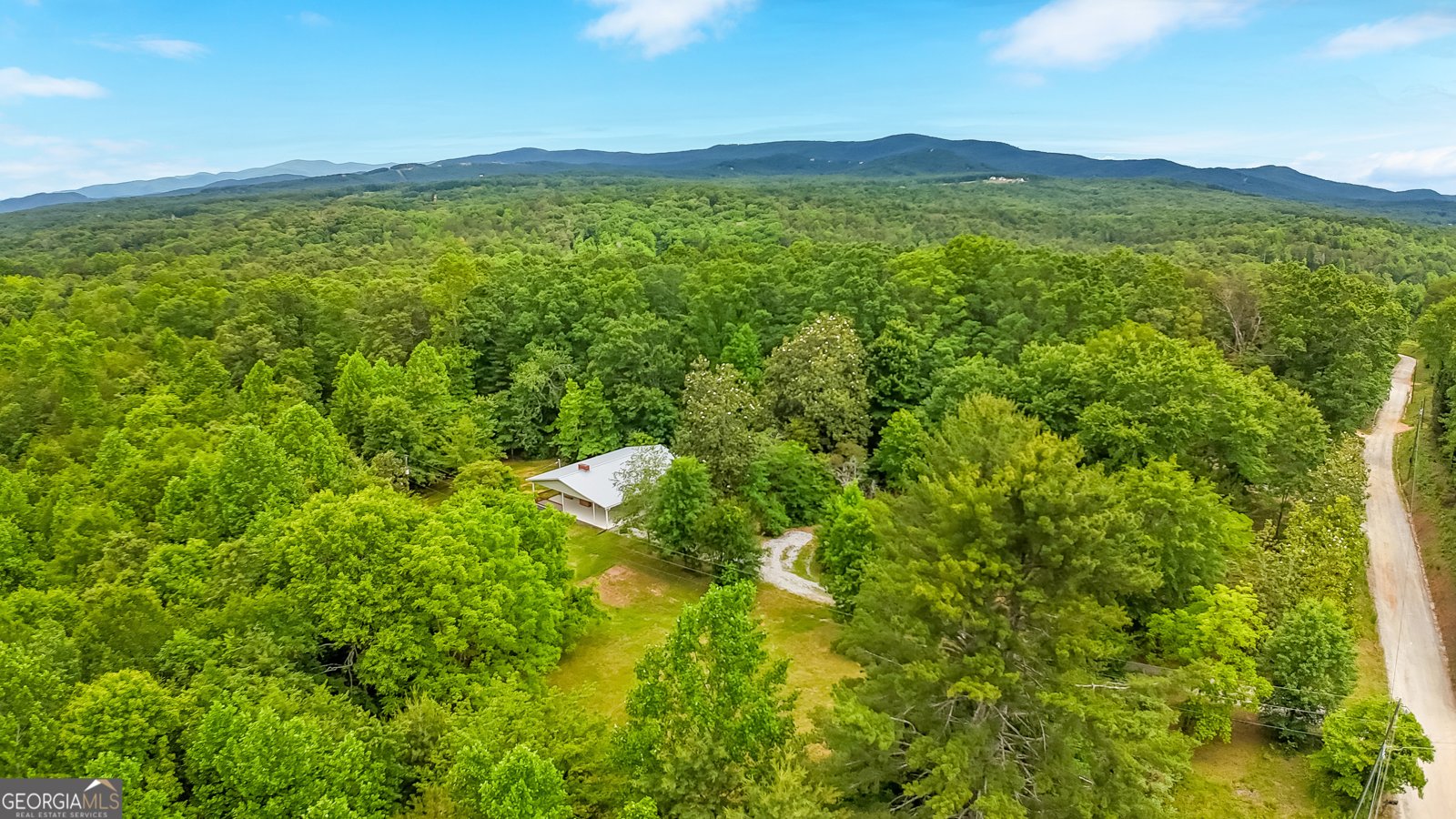2139 Buckhorn Road Clarkesville - 47