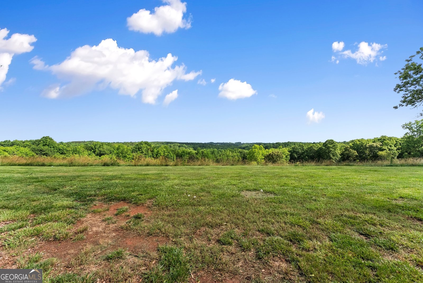 429 Hubert Harris Road Cornelia - 51