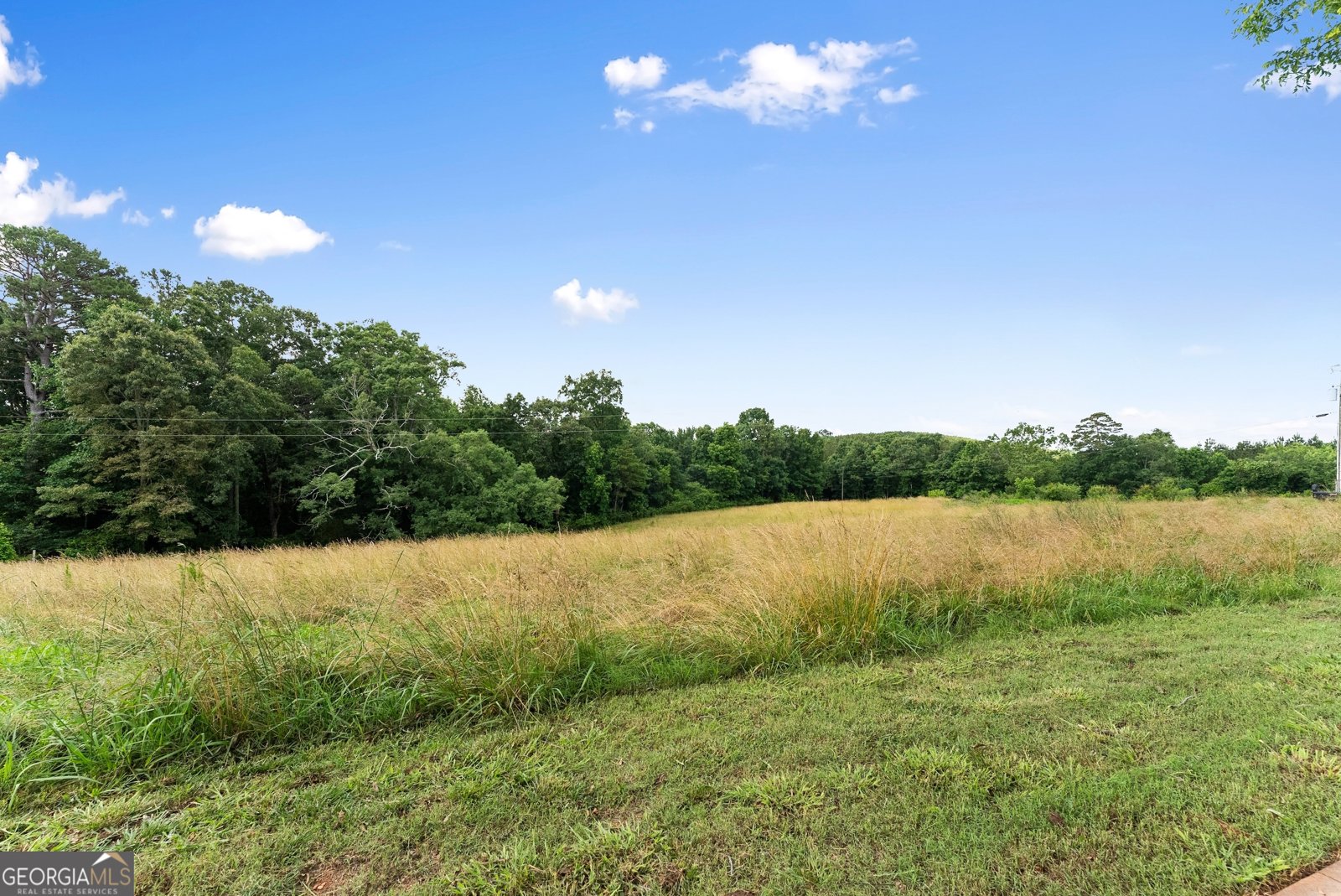 429 Hubert Harris Road Cornelia - 55