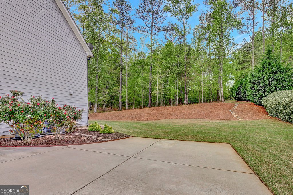 185 Discovery Lake Drive Fayetteville - 60