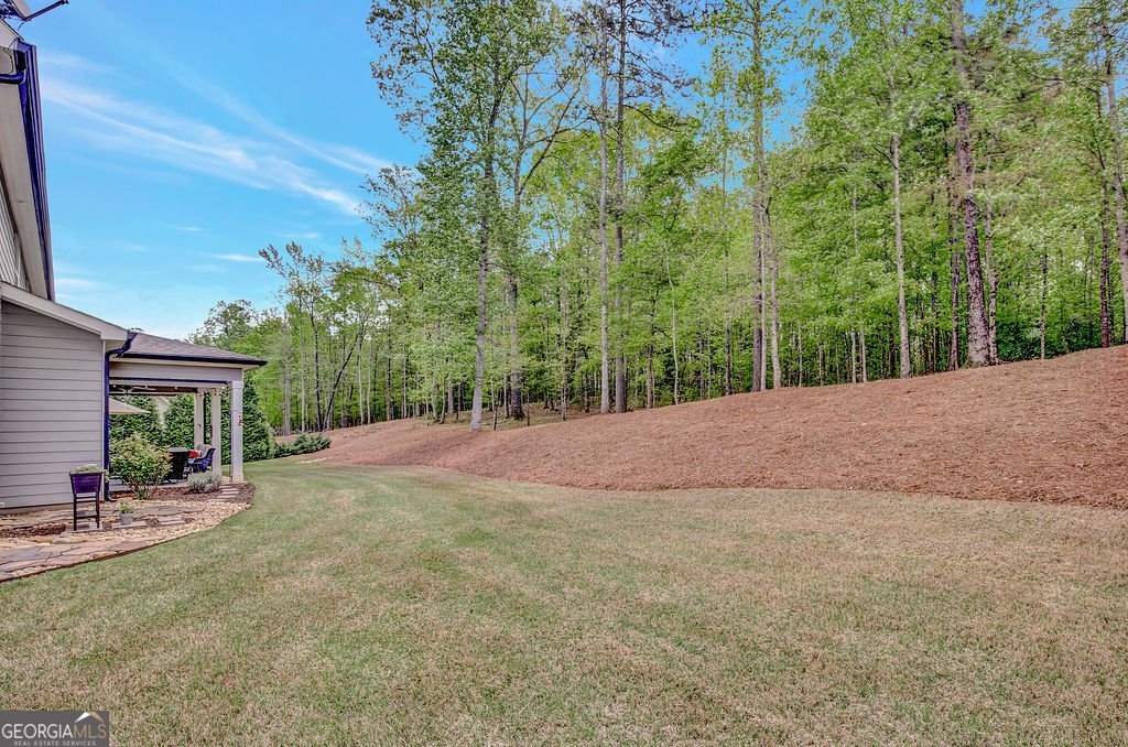 185 Discovery Lake Drive Fayetteville - 61
