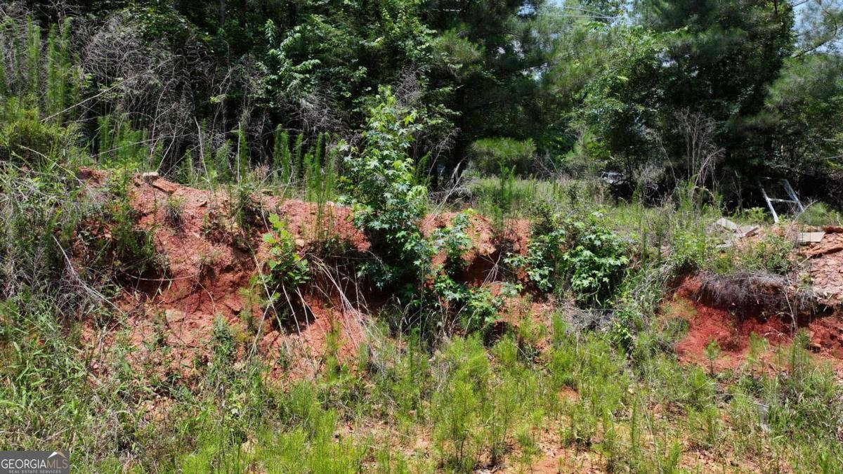 1980 RIDGE Road Hartwell - 7