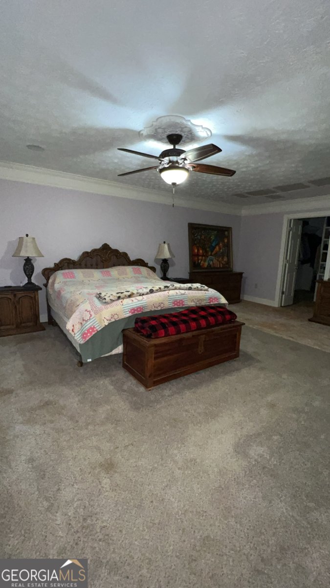 186 Kingston Road Colbert - 35
