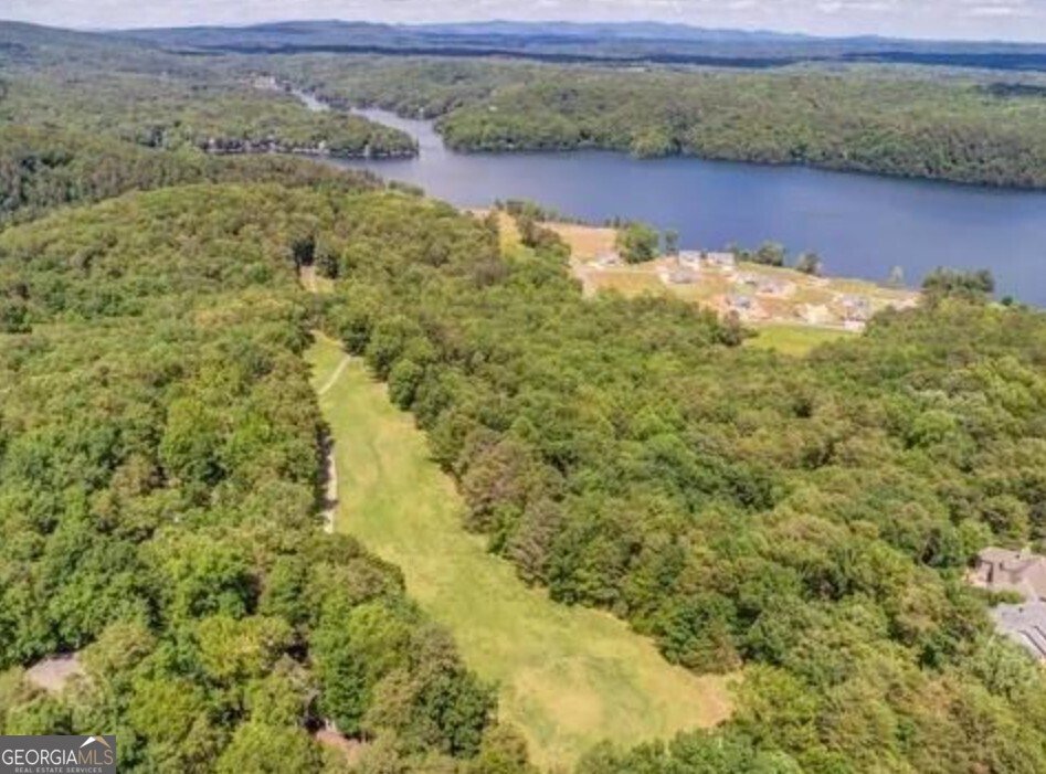 110 Fairway Oaks Waleska - 32