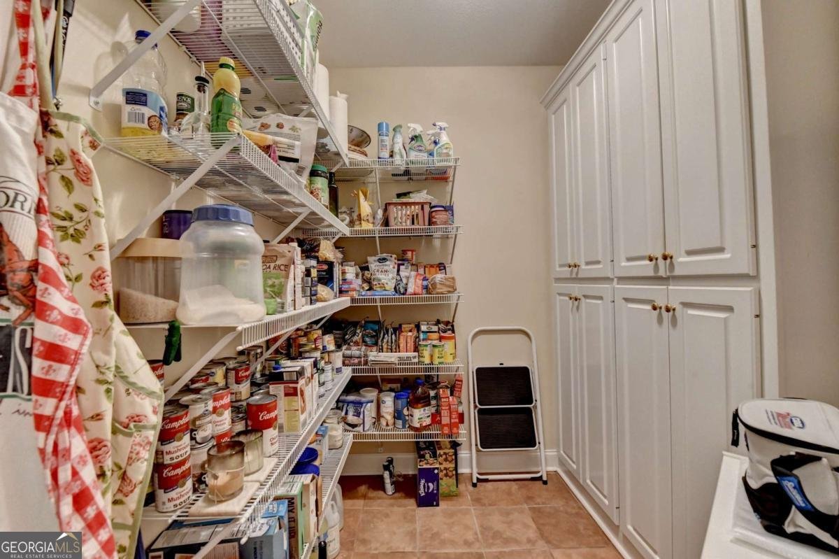 1640 Mount Mckinley Drive Grayson - 29