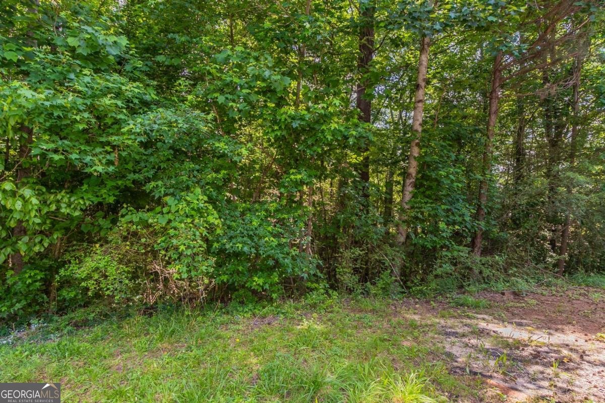 1404 Lancaster Court Mcdonough - 29
