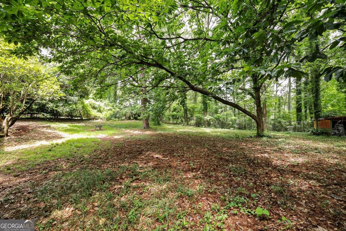 221 College Circle Athens - 14