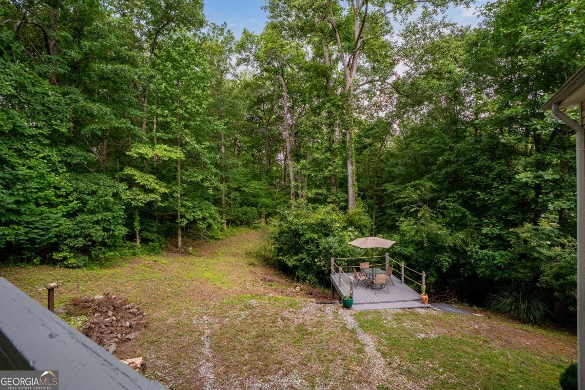 115 Donna Drive Dawsonville - 42