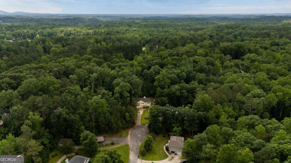 115 Donna Drive Dawsonville - 43