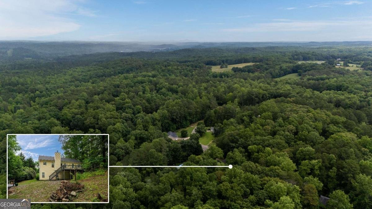 115 Donna Drive Dawsonville - 44