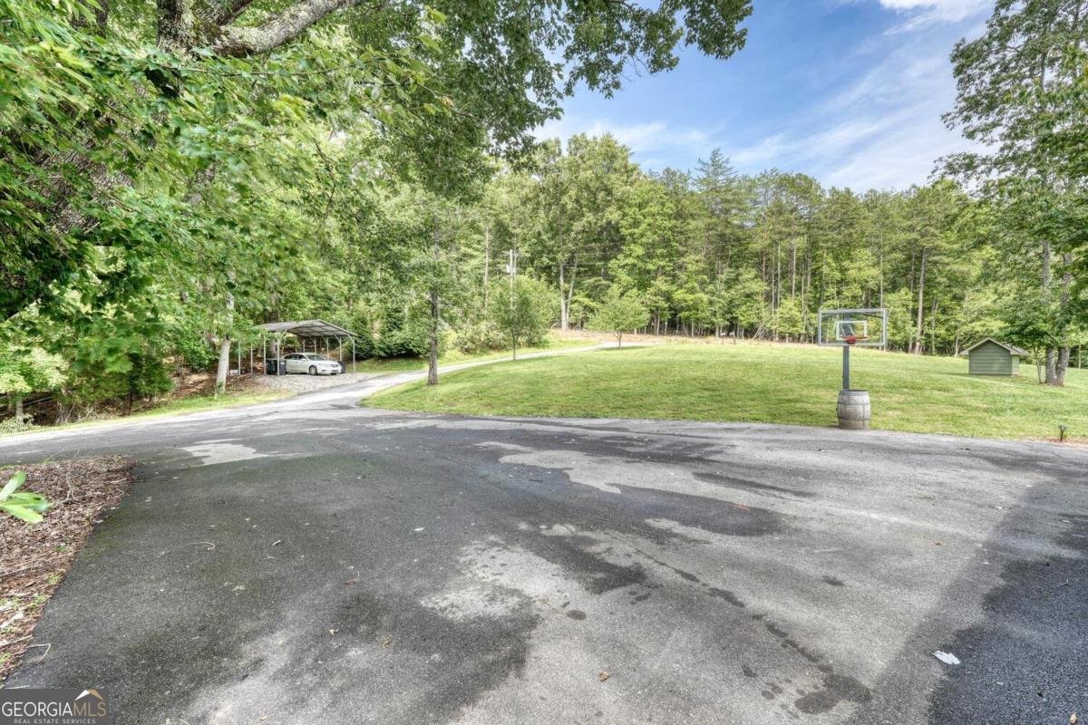 583 Fleenor Road Blairsville - 60