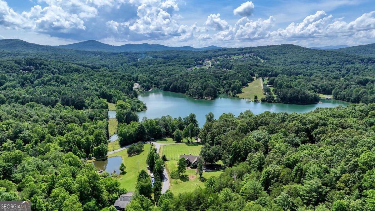 583 Fleenor Road Blairsville - 93