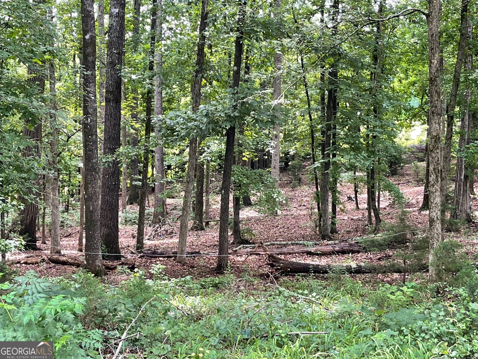 495 Bragg Road Monticello - 33