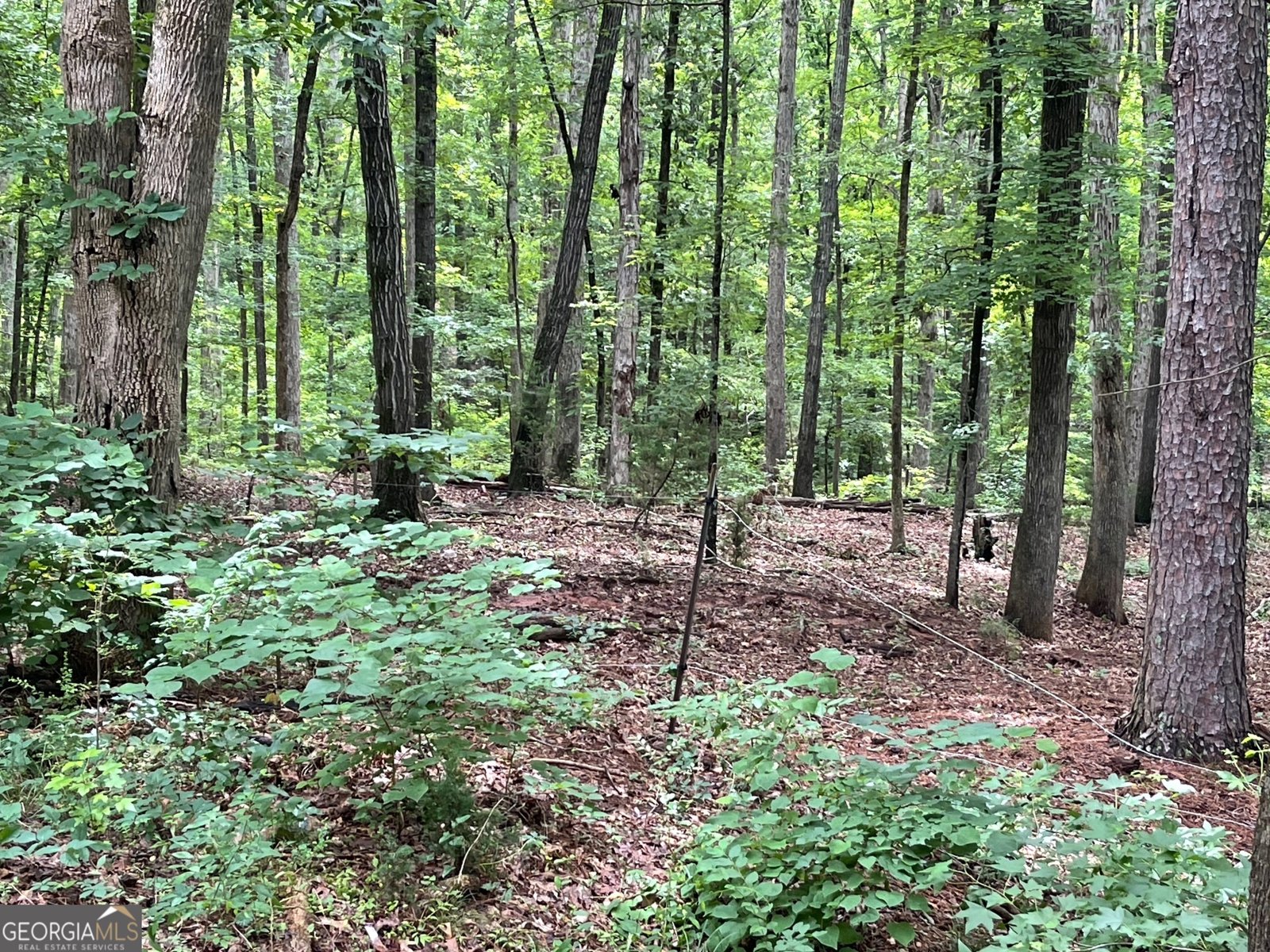 495 Bragg Road Monticello - 34