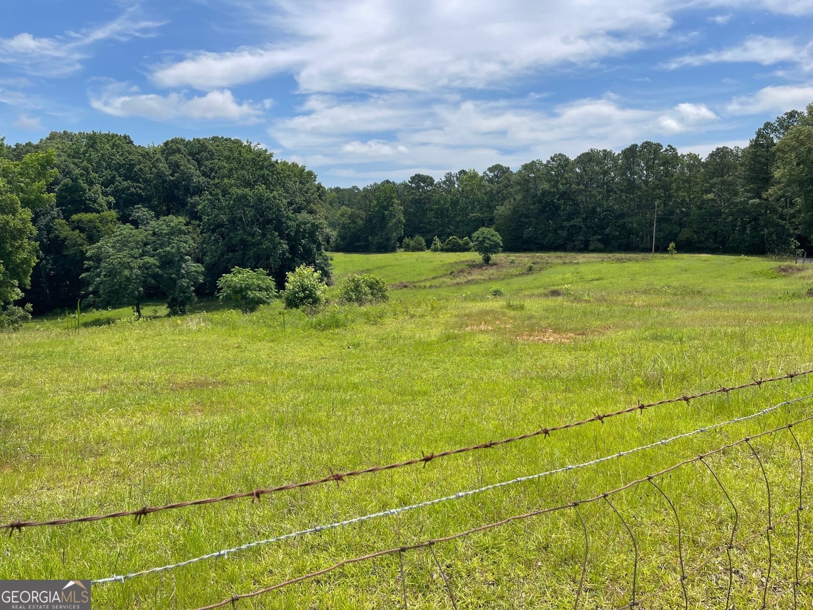 495 Bragg Road Monticello - 45
