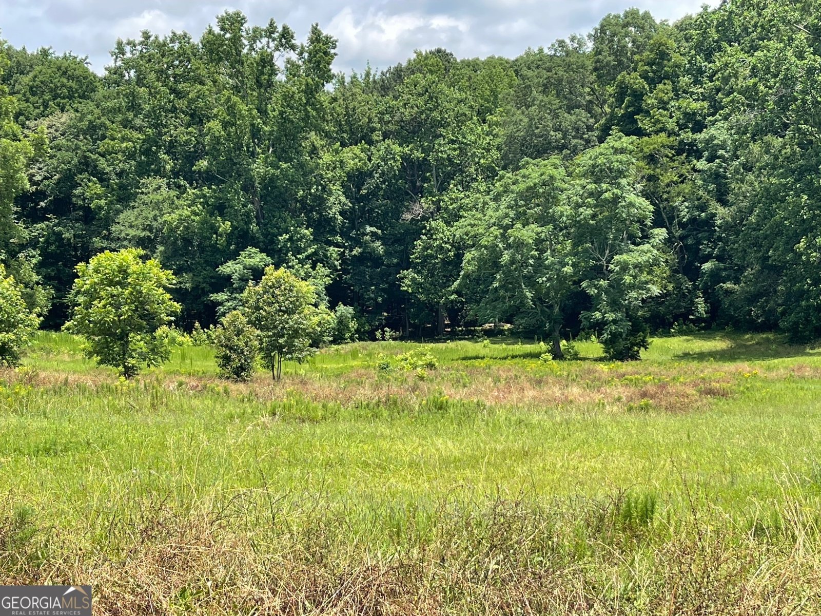 495 Bragg Road Monticello - 47