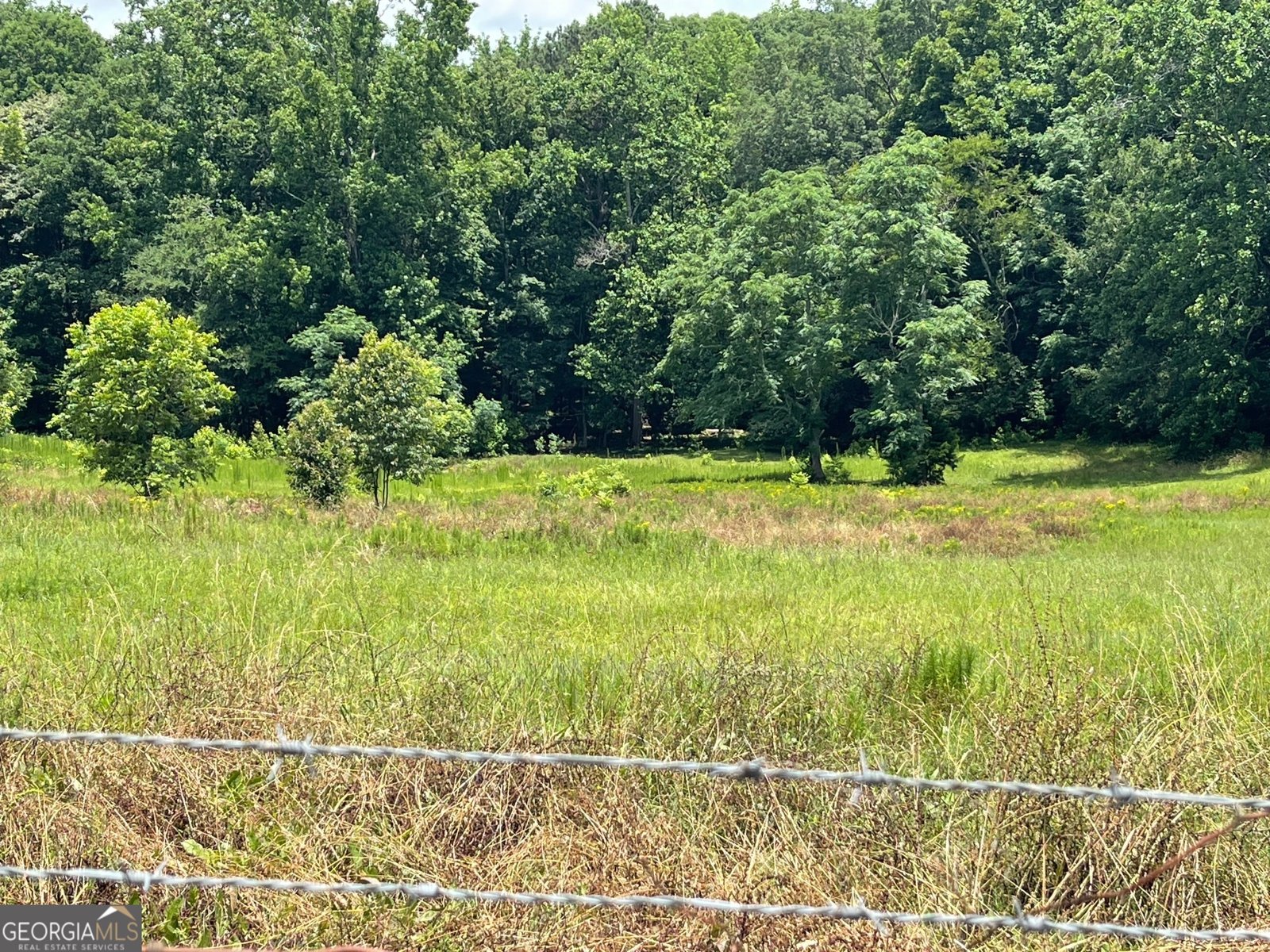 495 Bragg Road Monticello - 48