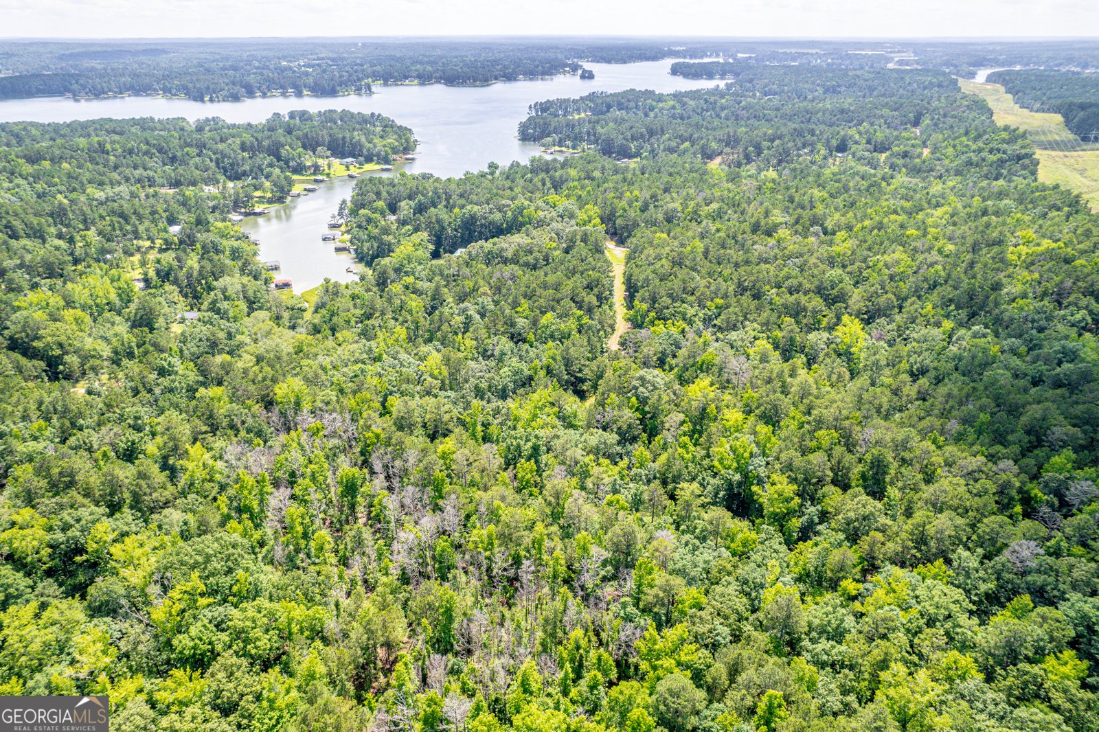671 Pine Lake Drive Sparta - 63