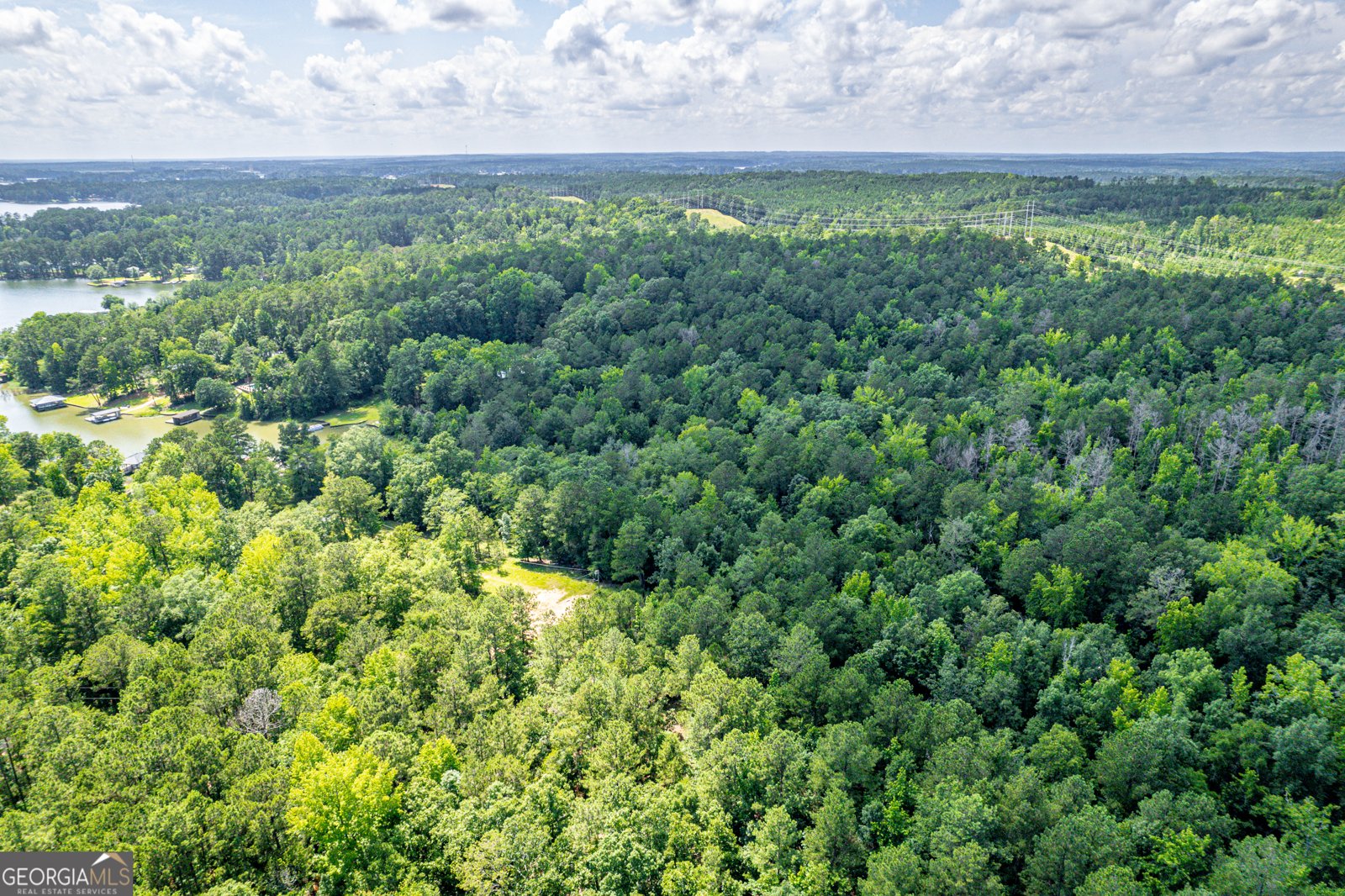 671 Pine Lake Drive Sparta - 81