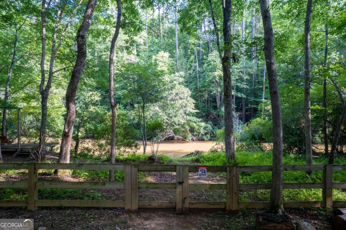 218 River Drive Dahlonega - 60