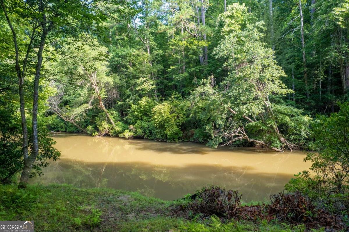 218 River Drive Dahlonega - 61