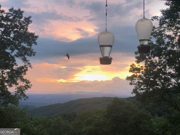 539 Dowel Circle Ellijay - 10