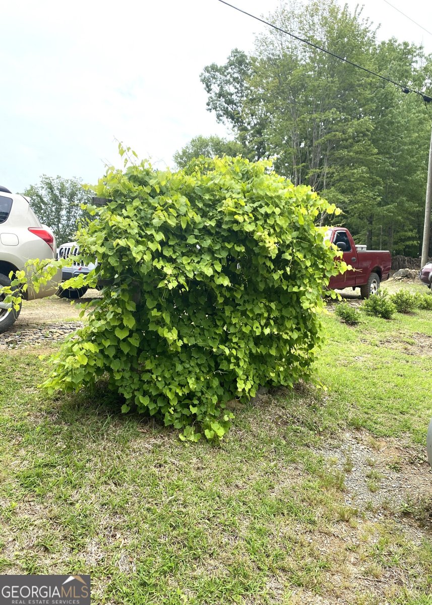 539 Dowel Circle Ellijay - 30